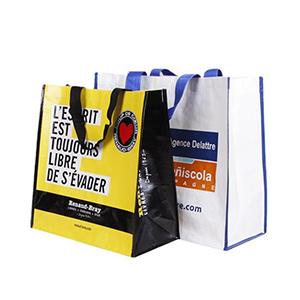  PP Woven Tote Shopping Promotion Bag Advertisement Bags